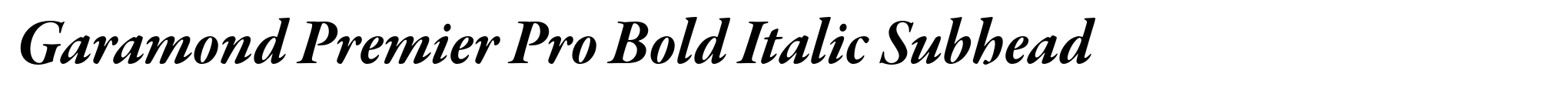 Garamond Premier Pro Bold Italic Subhead image